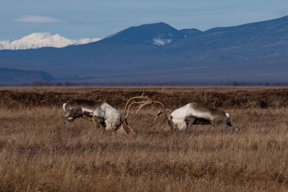 Photograph by Нина Ким