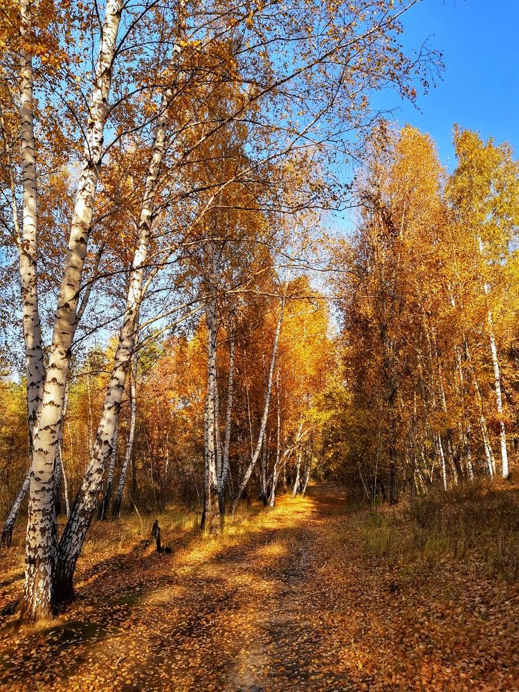 Photograph by Сергей Колос