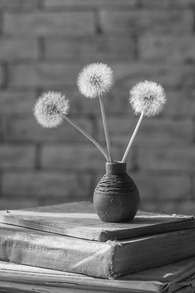 Photograph by Яна Соболева