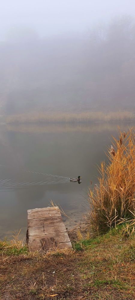 Photograph by Илона Руднева
