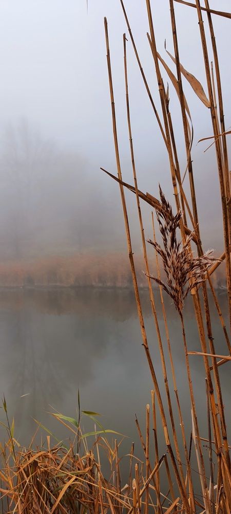 Photograph by Илона Руднева