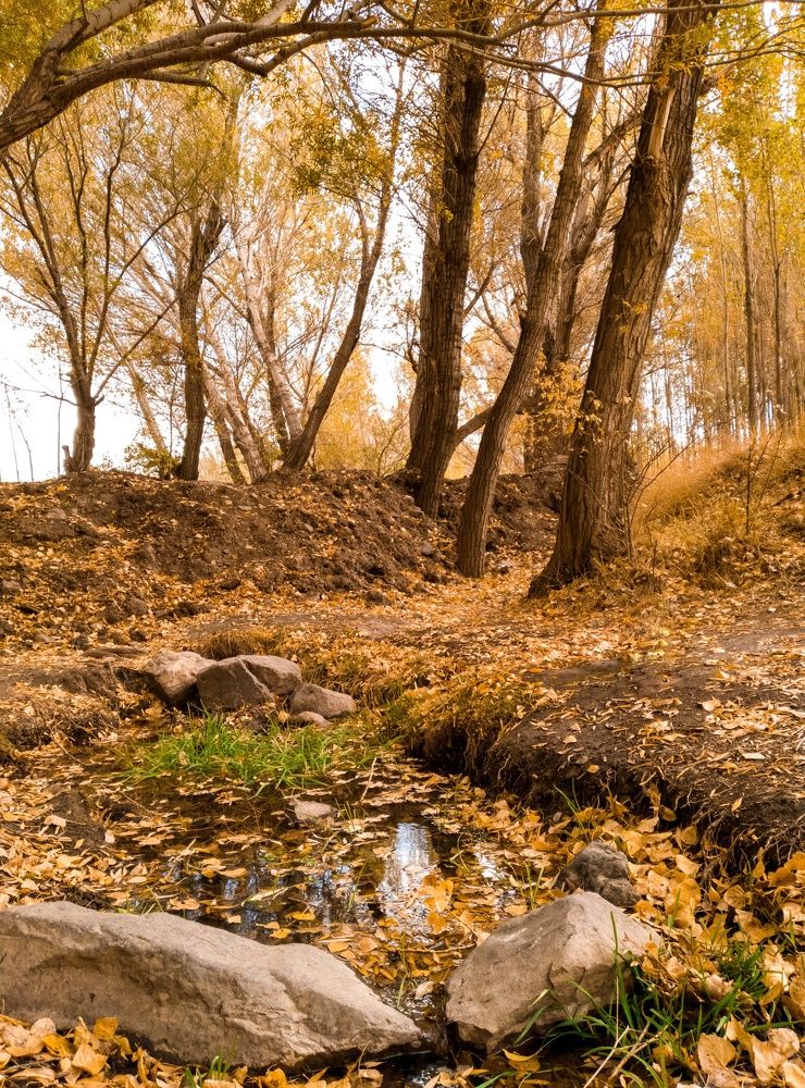 Photograph by Mohammad Amin Karimi