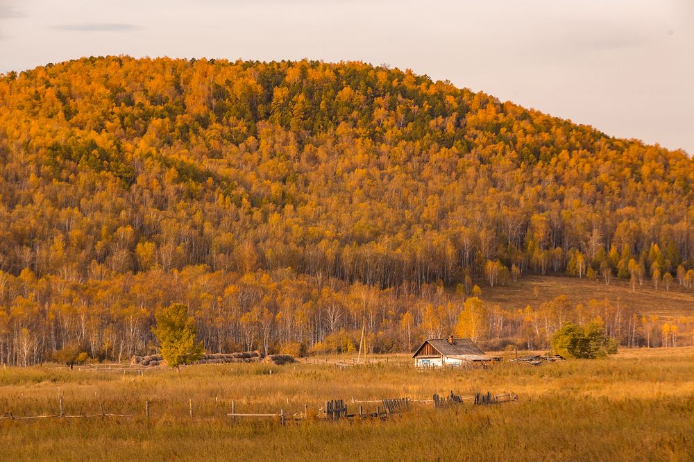 Photograph by Алексей Семенихин