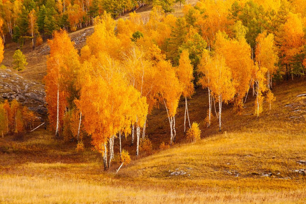 Photograph by Алексей Семенихин