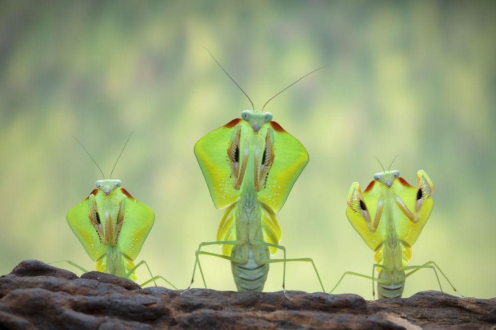 Photograph by way pang