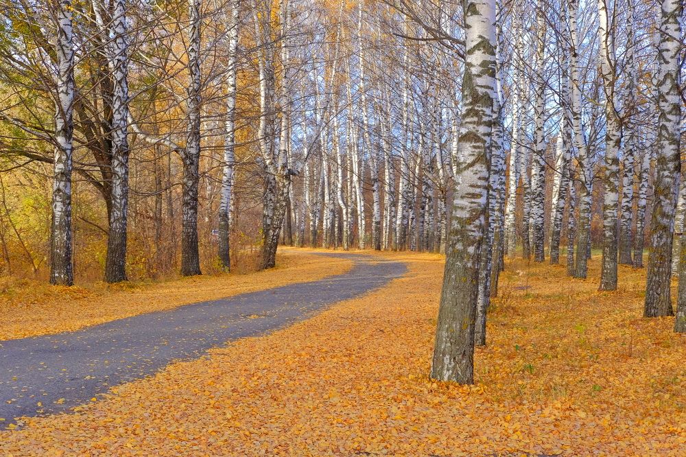 Photograph by Юрий Кузьмин