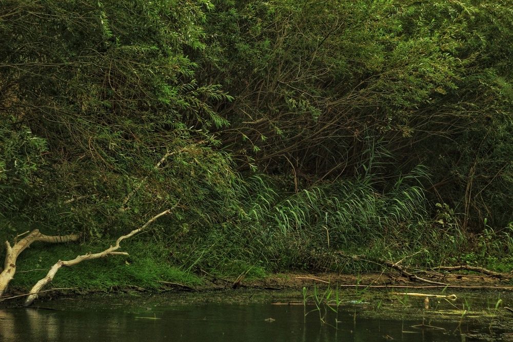 Photograph by Наталья Брунилина