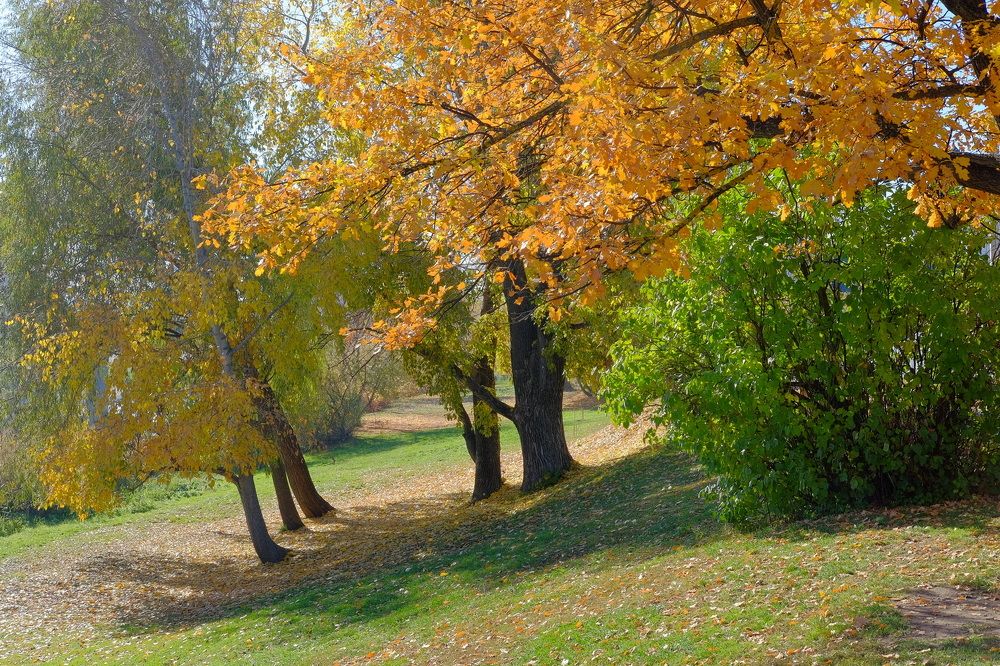 Photograph by Юрий Кузьмин