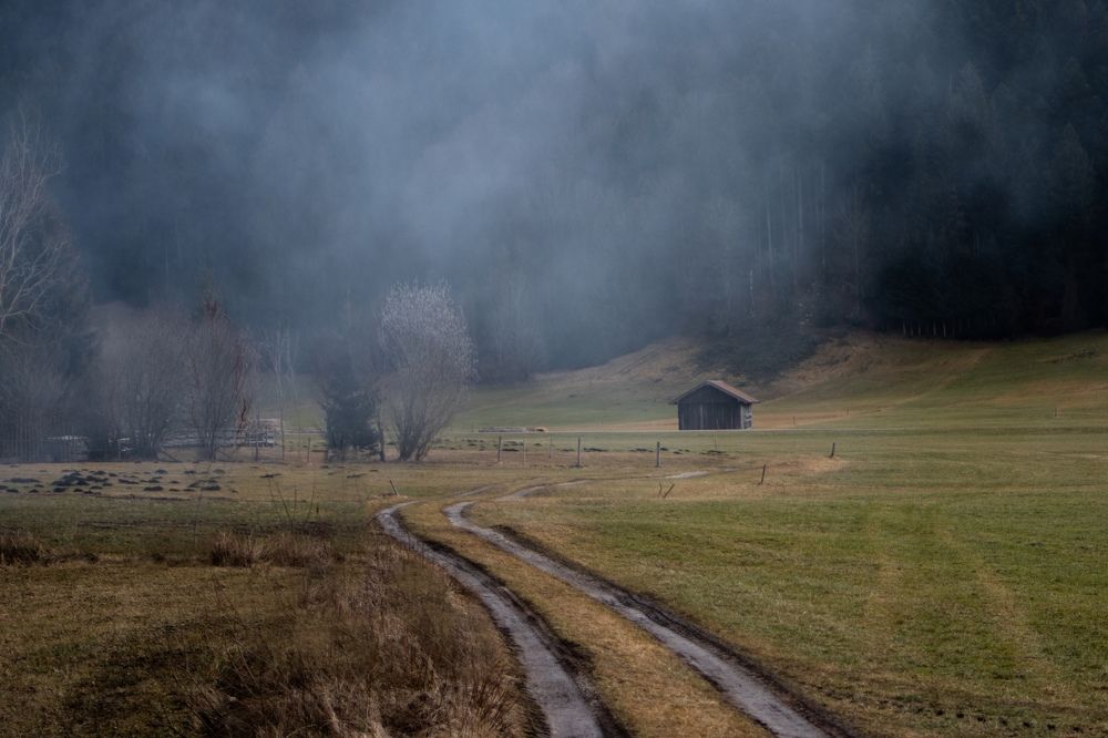 Photograph by Ксения Лаевская