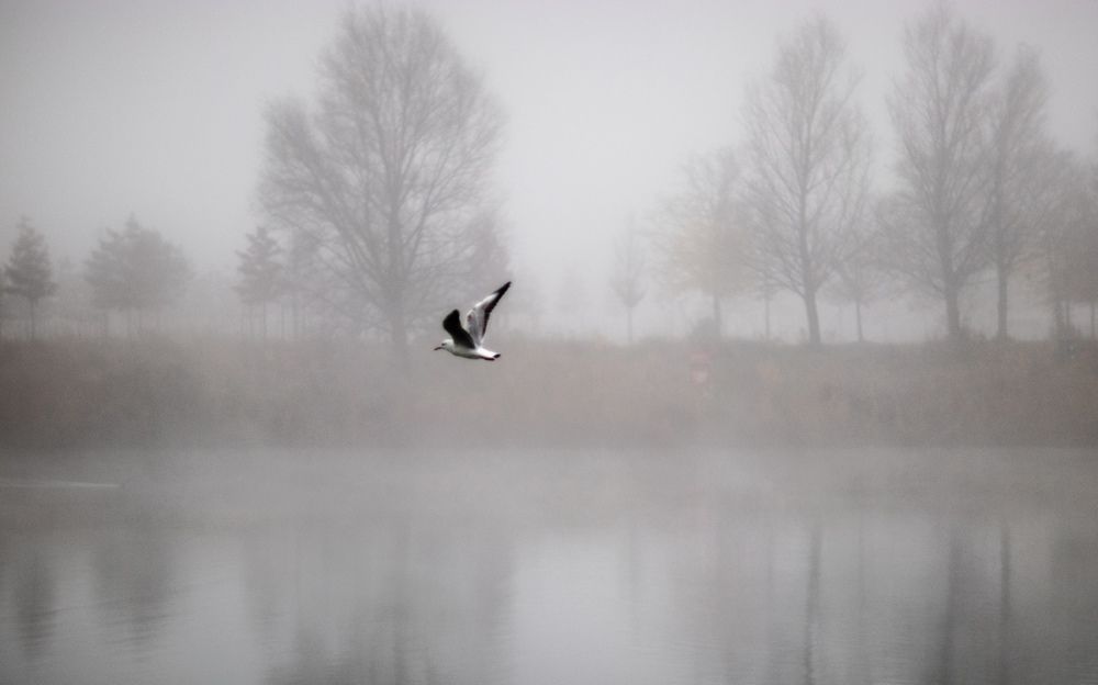 Photograph by Ксения Лаевская