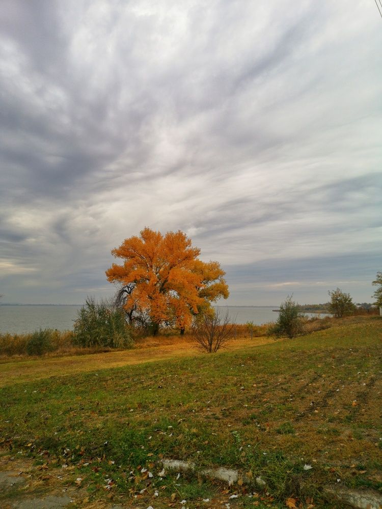 Фотография автора Людмила Богдан