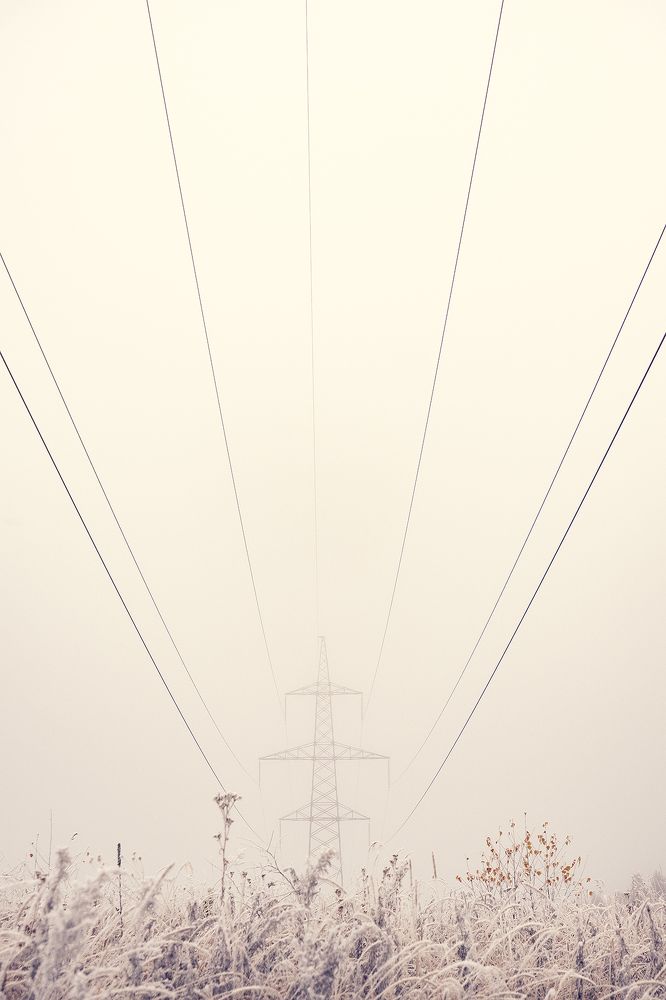 Photograph by Алексей Семенихин