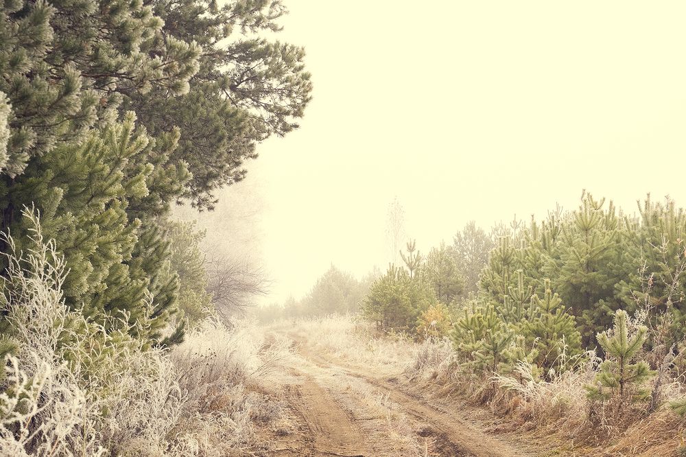 Photograph by Алексей Семенихин