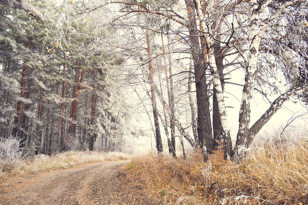 Photograph by Алексей Семенихин