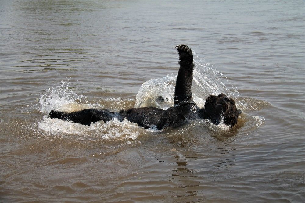 В размашку!