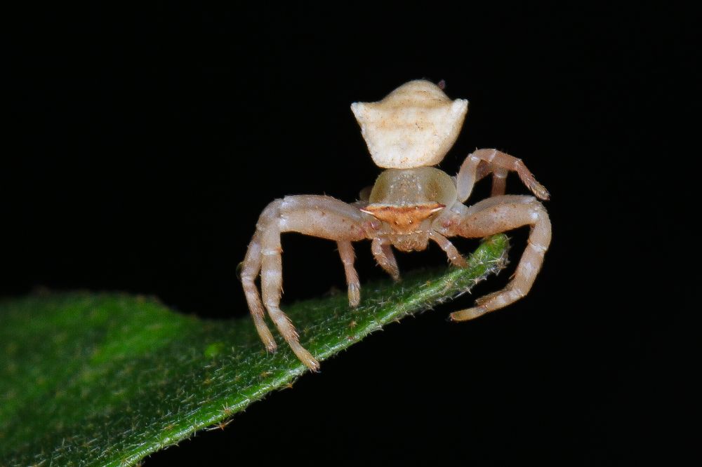 Фотография автора Suresh S S