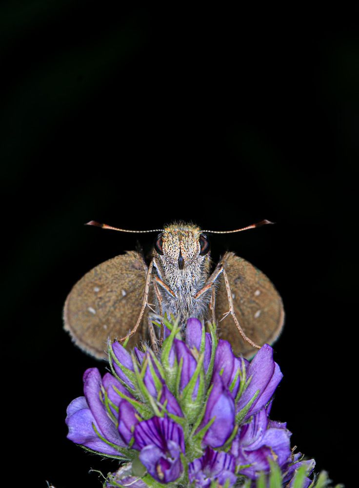 Фотография автора Suresh S S