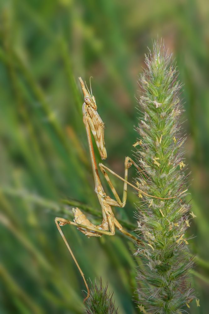 Фотография автора Suresh S S