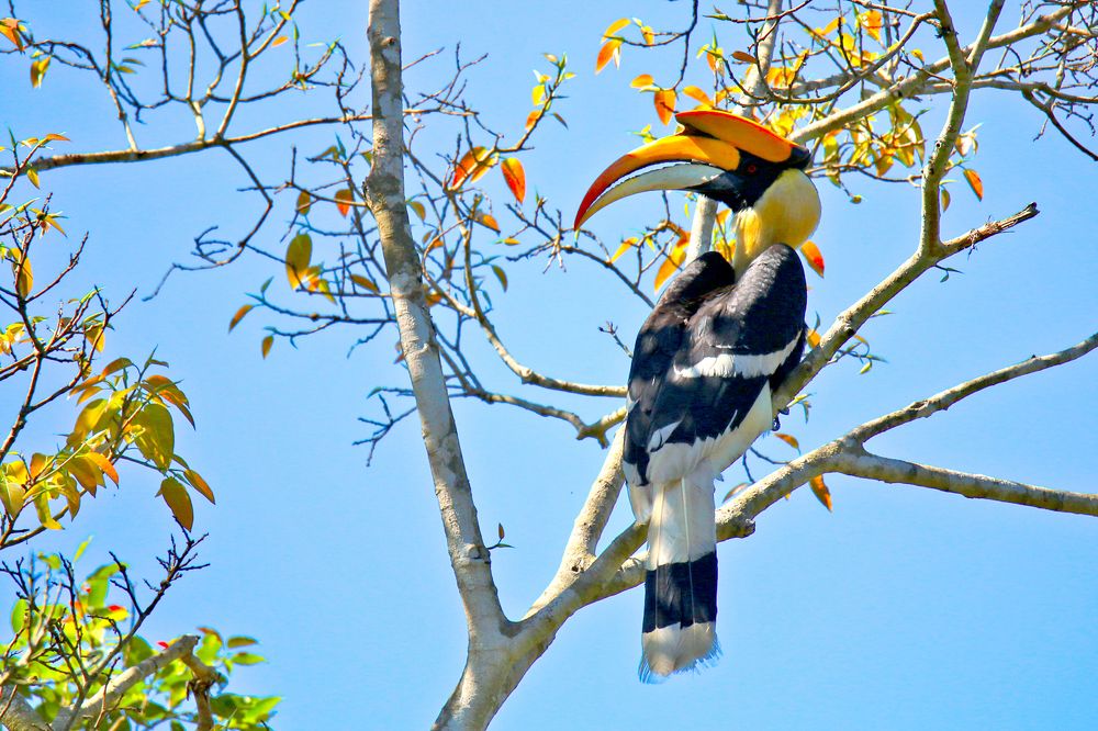 Фотография автора Suresh S S