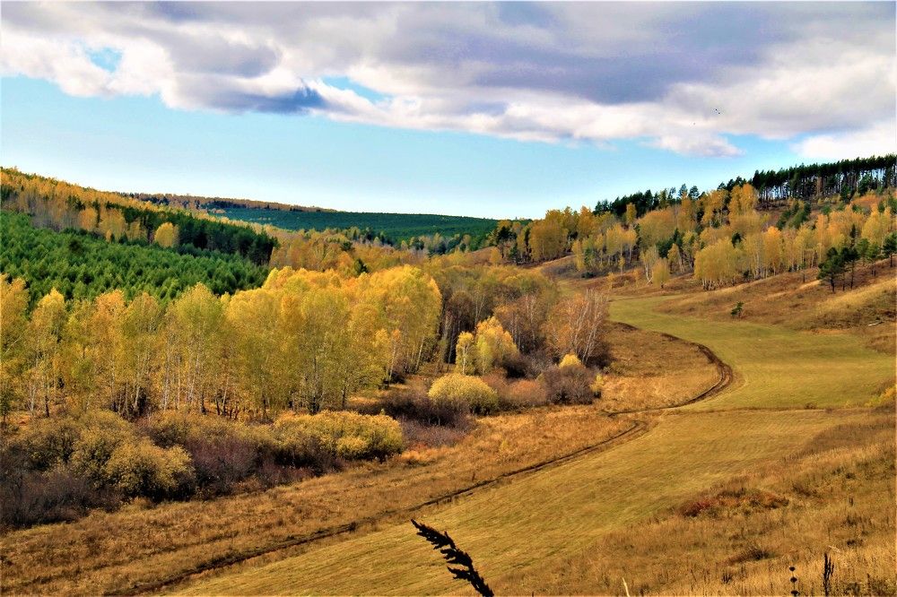 Дорога на ручей.