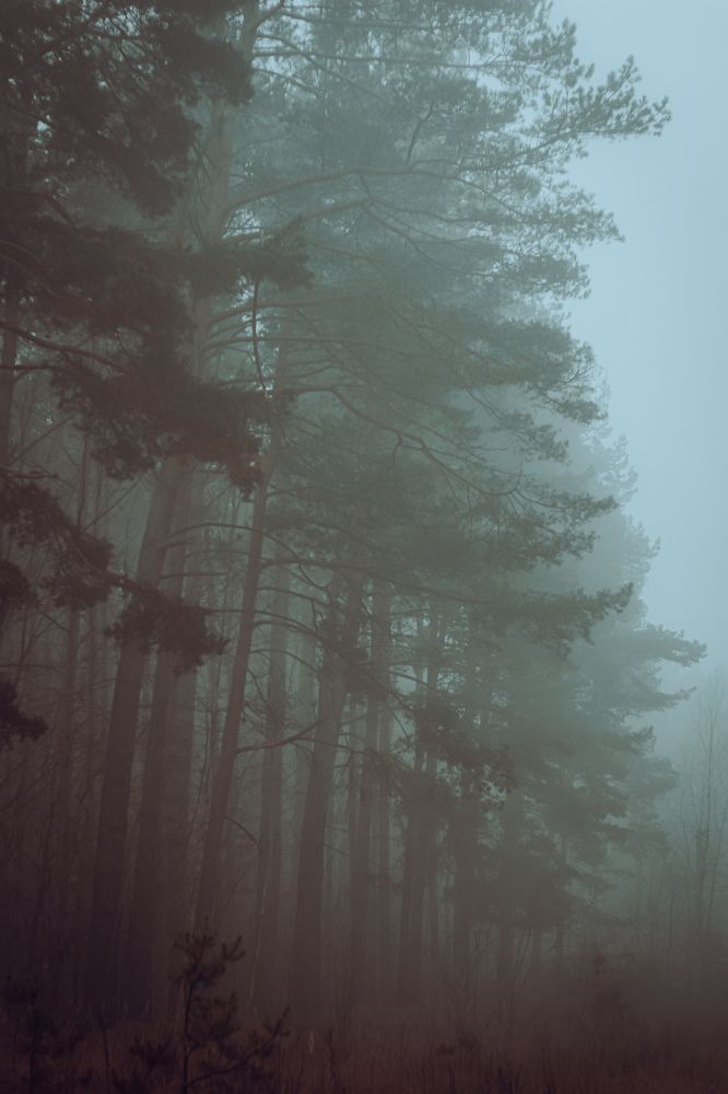 Photograph by Александр Казак