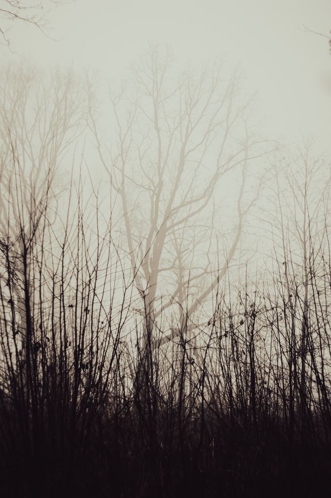 Photograph by Александр Казак