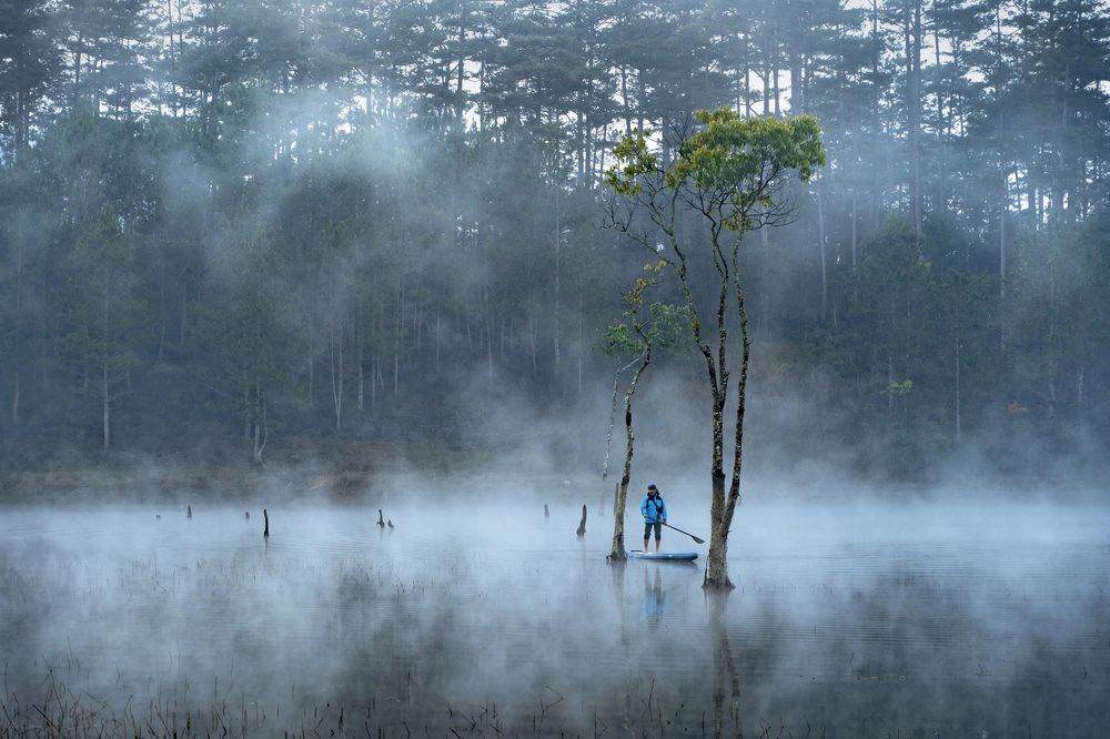 Фотография автора Dang Le