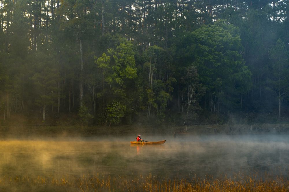 Фотография автора Dang Le