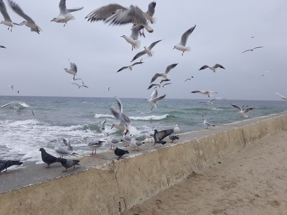 Photo #6752243