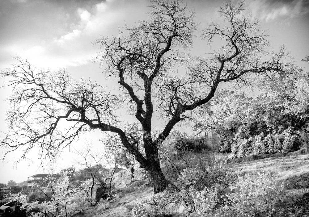 Photograph by Константин Лившиц