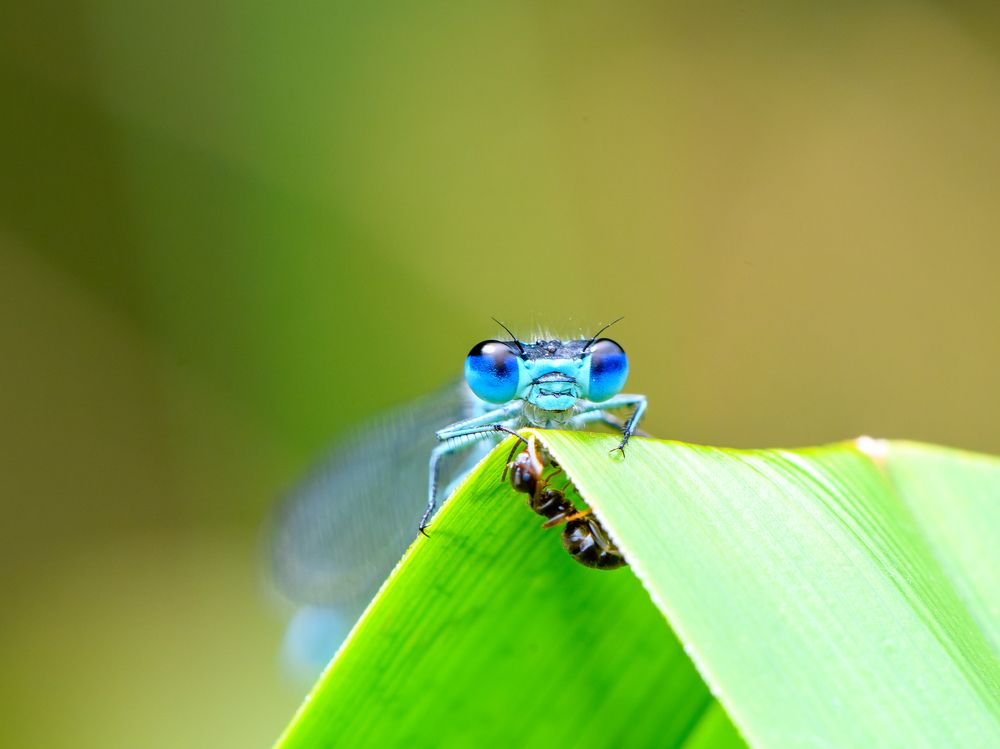 Photograph by  Mykhailo