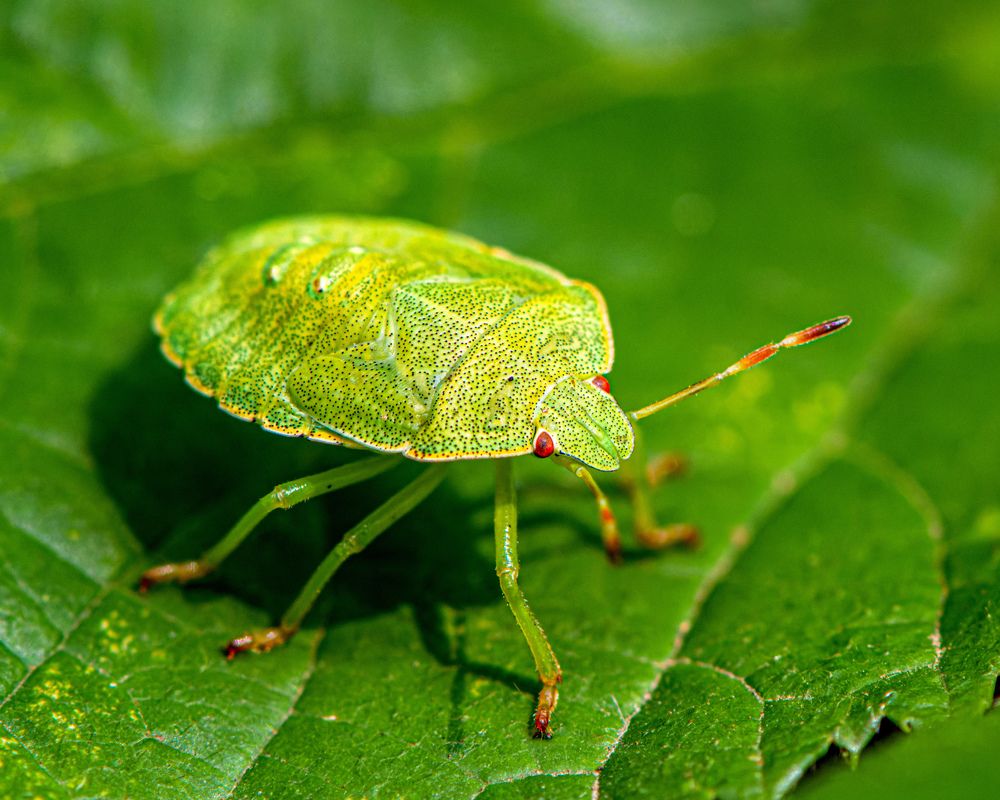 Photograph by  Mykhailo