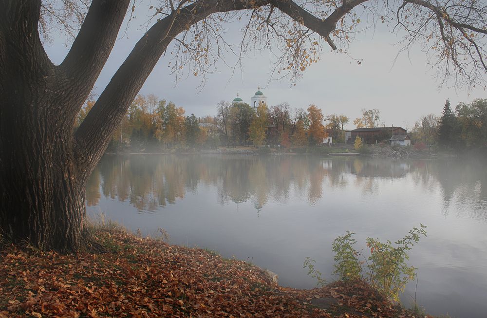 Photograph by Зоя Быкова