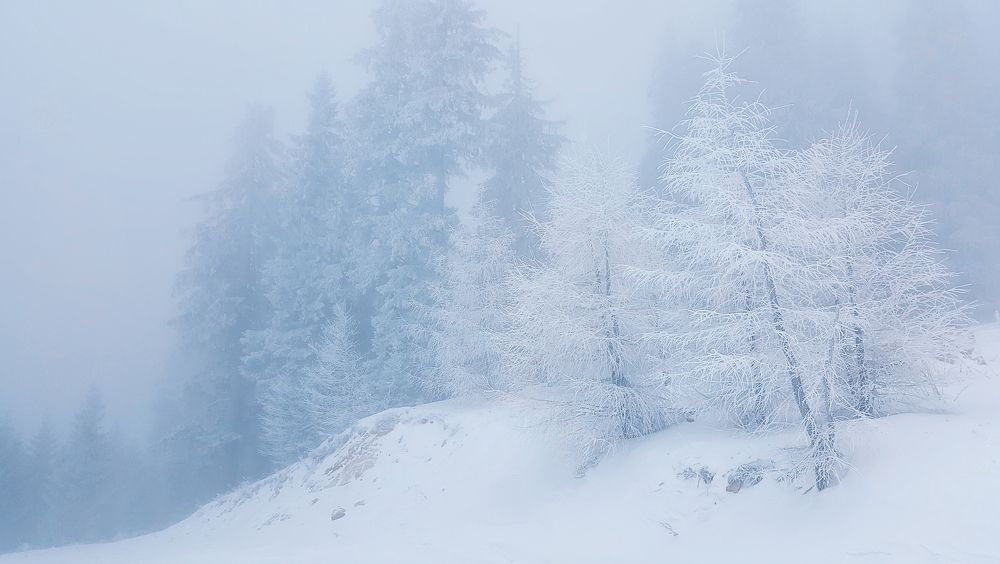 frozen fog landscape