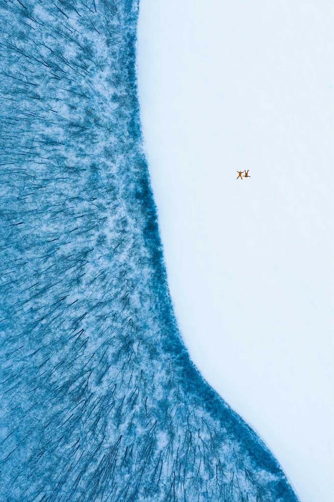 Photograph by Andrii Chagovets