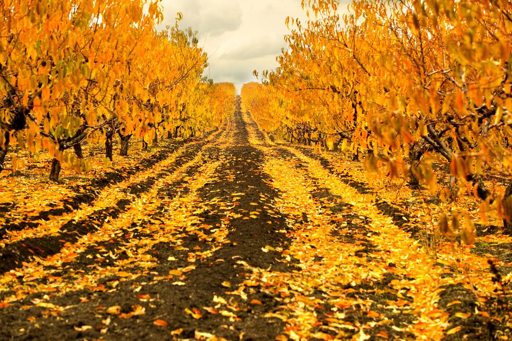 Photograph by Валерия Маркова