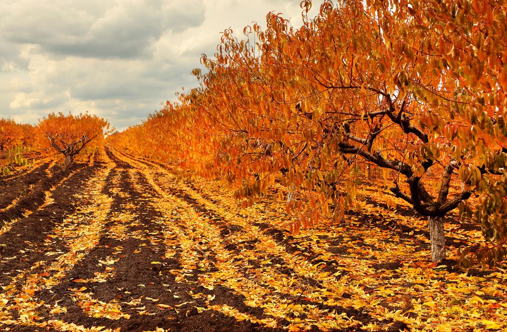 Photograph by Валерия Маркова