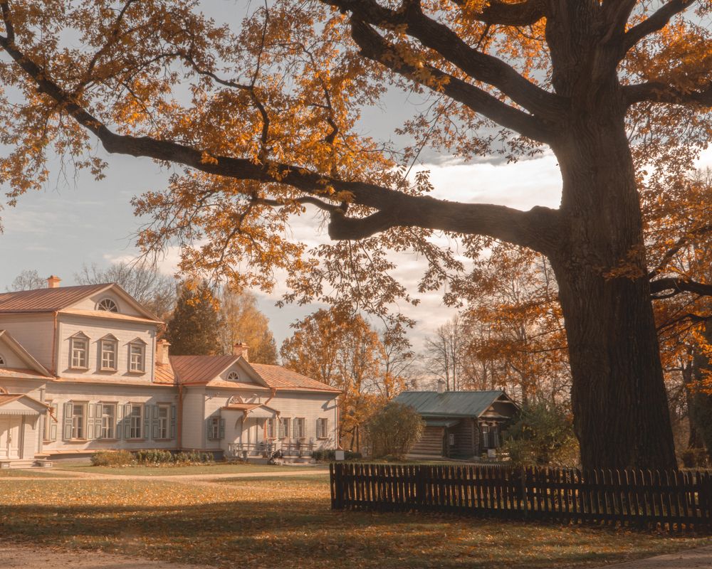 Photograph by Stefanovia_photo