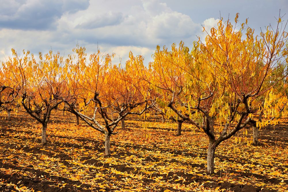 Photograph by Валерия Маркова