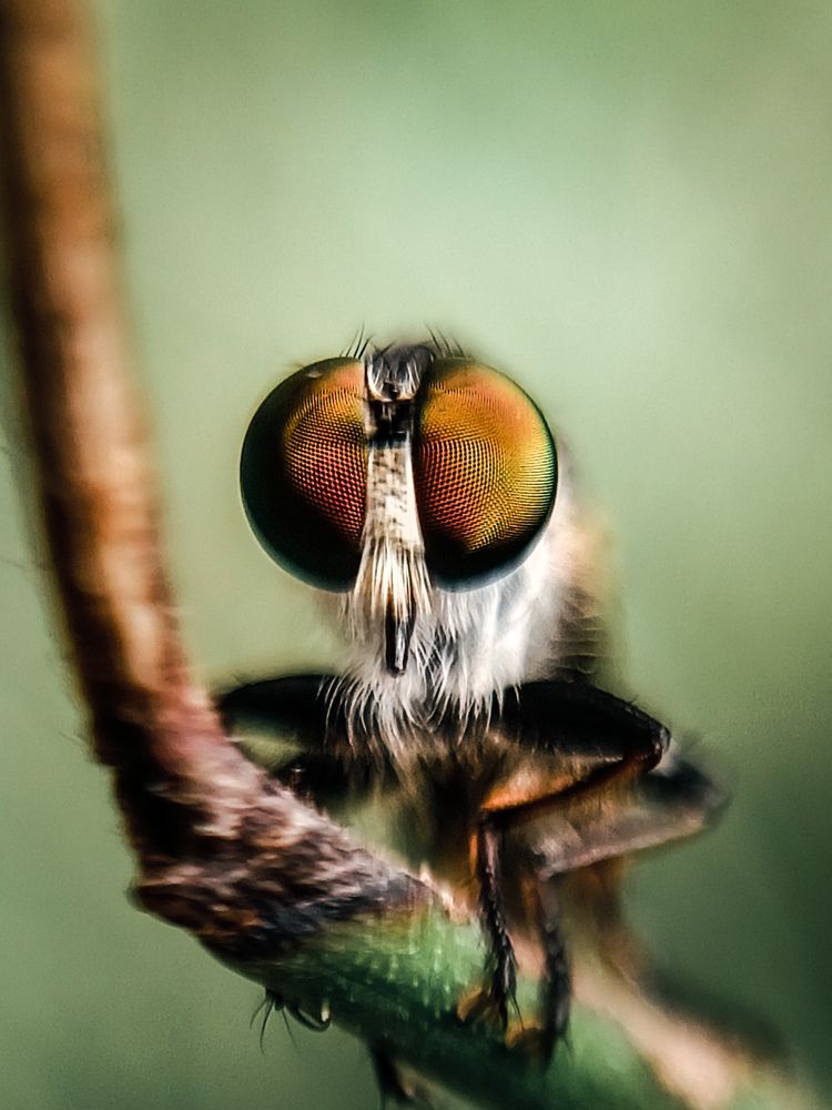 Photograph by Govind Viswanath