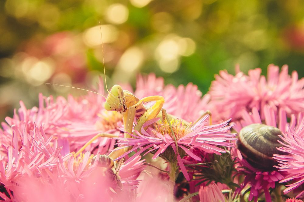 Photograph by Роман Рыбочкин