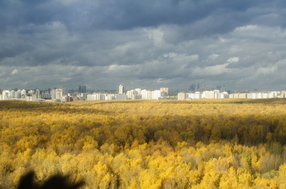 Фотография автора Людмила Куприянова
