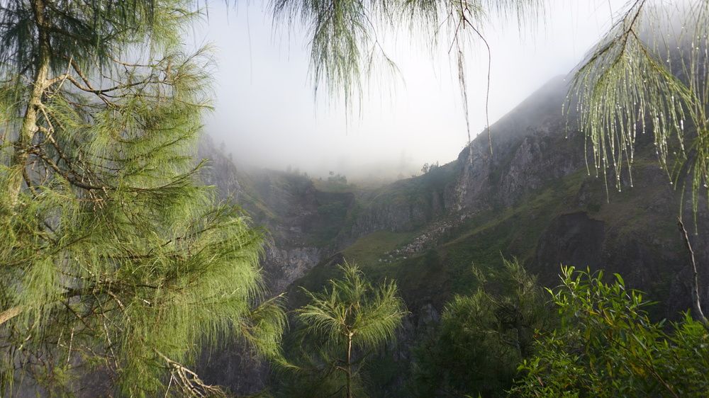 Photograph by Оксана Трофименко