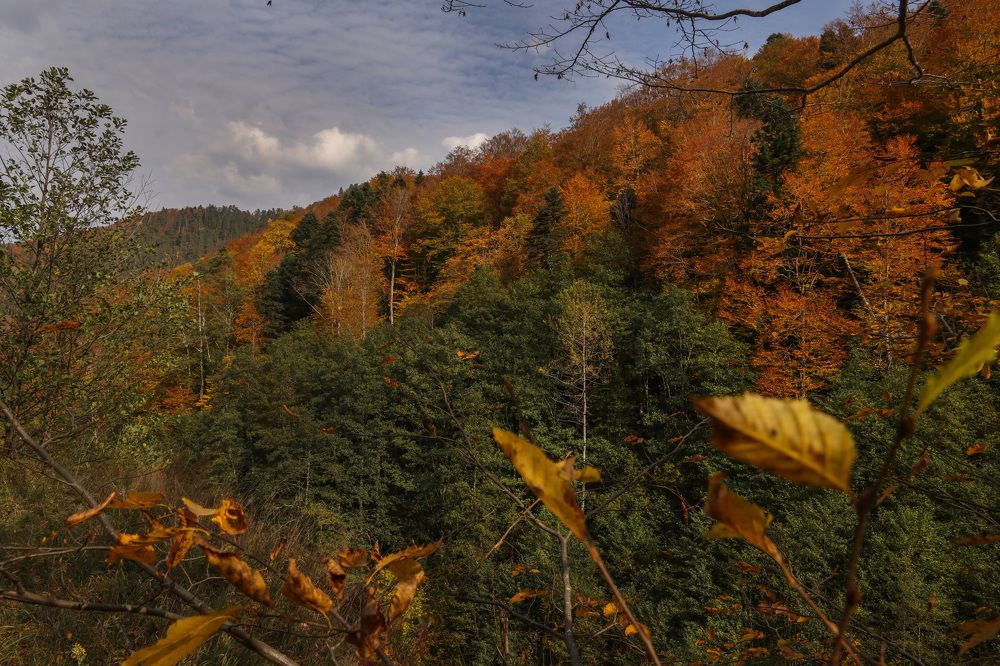 Photograph by Виктория Бережок