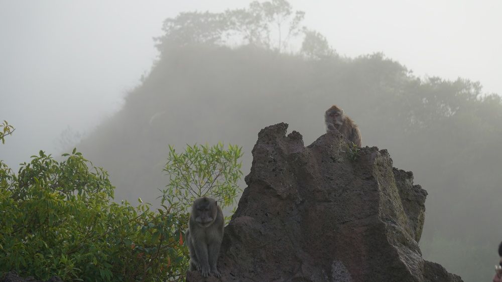 Photograph by Оксана Трофименко