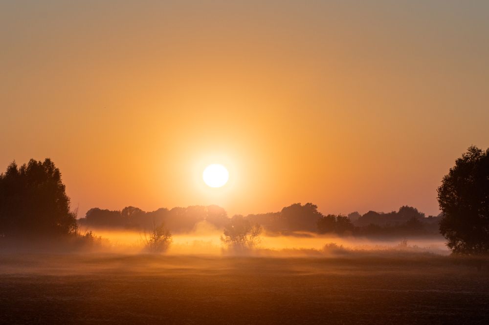 Photograph by Андрей Алсуфьев