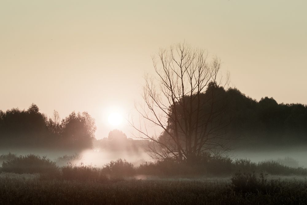 Photograph by Андрей Алсуфьев