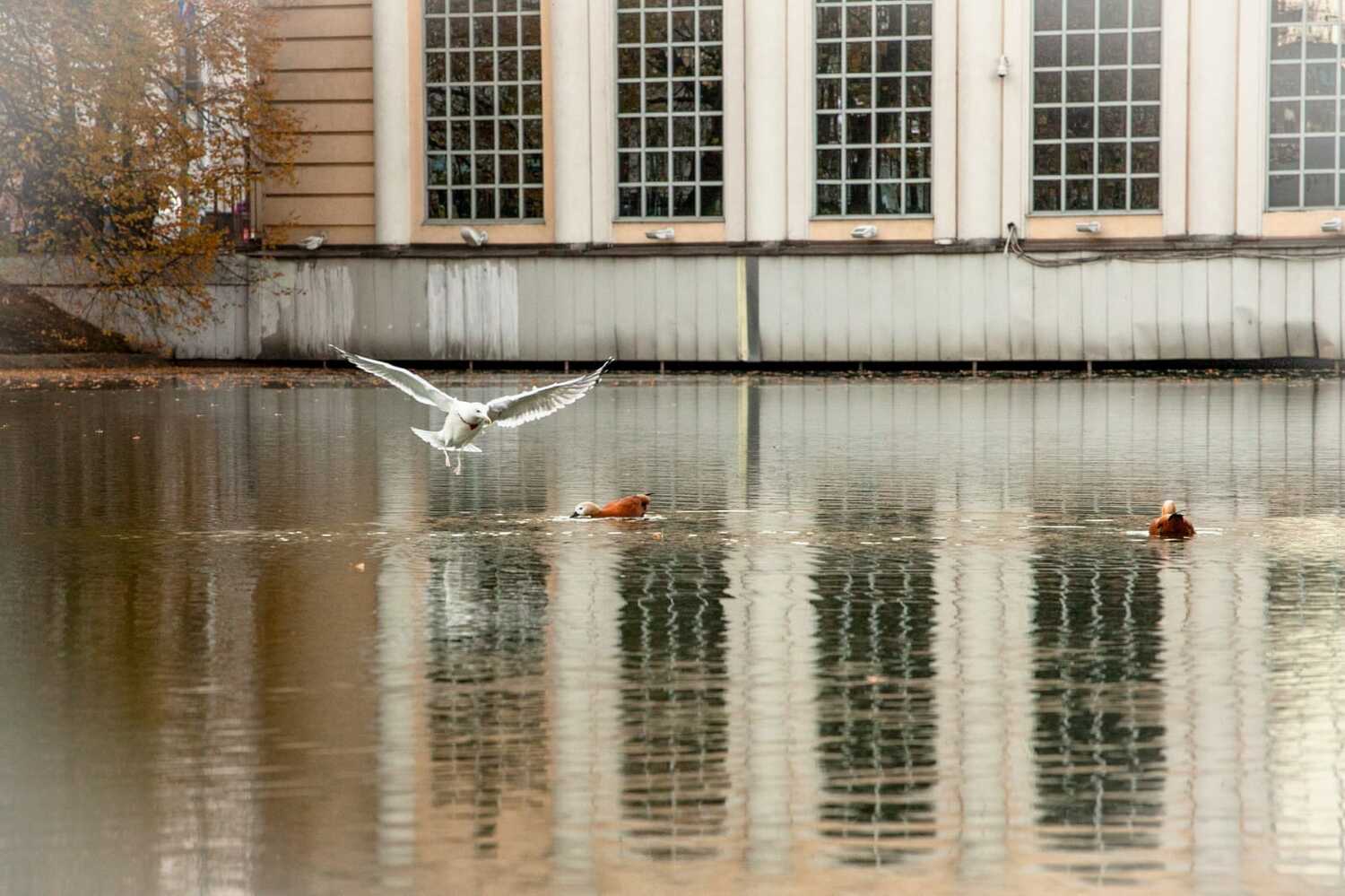 Фотография #6752502