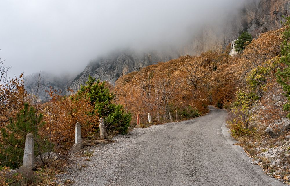 Photograph by Игорь Прошаков