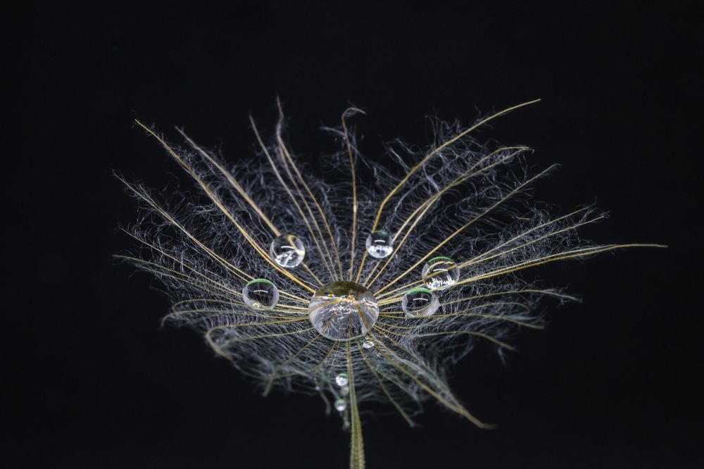 Photograph by Lanie Badenhorst